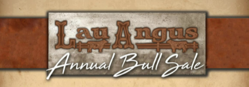 Lau Angus Sale